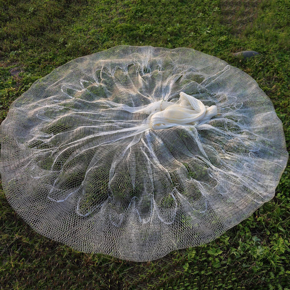 Lawaia cast net in shallow-water setting showcases versatile application.