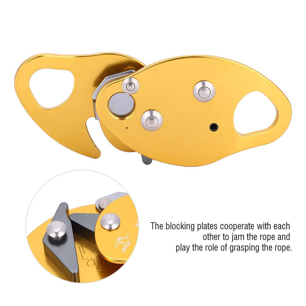 Leapiture descender dimensions 11.7 by 6.6 cm for easy transport.