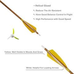 Letszhu Archery removable-tips for quick point changes and tuning