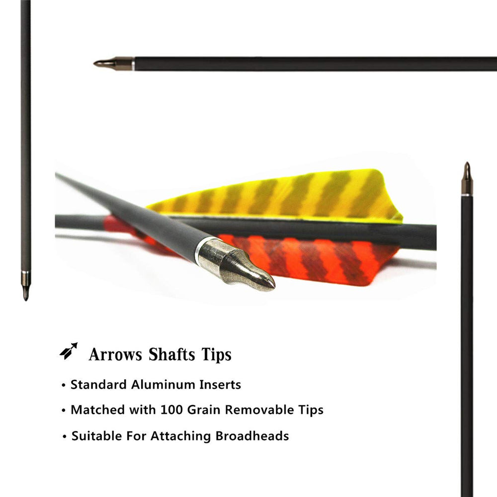 Letszhu archery arrow pack offers durable multi-layer shafts for long-term practice.