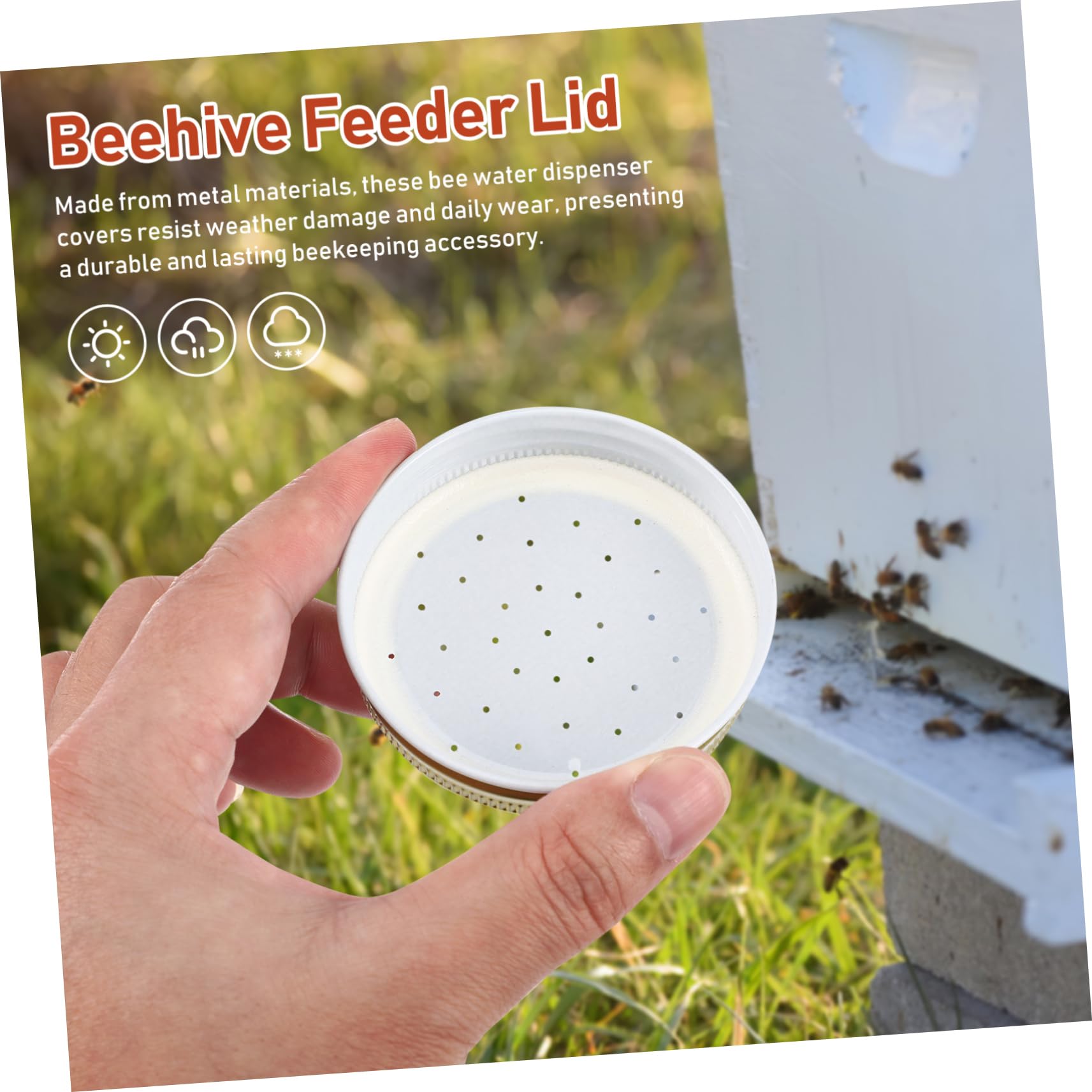 Levemolo weather-ready lid helps maintain consistent water access across seasons
