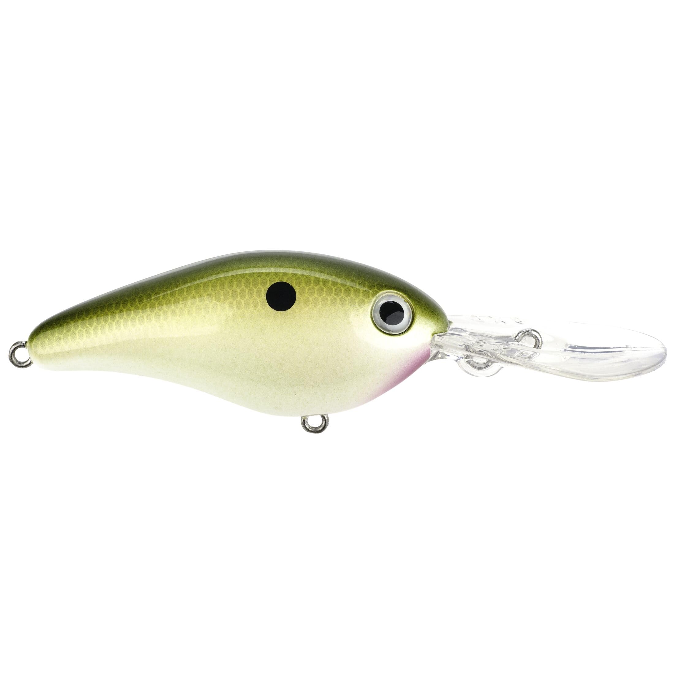 Lew's Promodel 6XD crankbait premium finish close-up in Tennessee Shad color