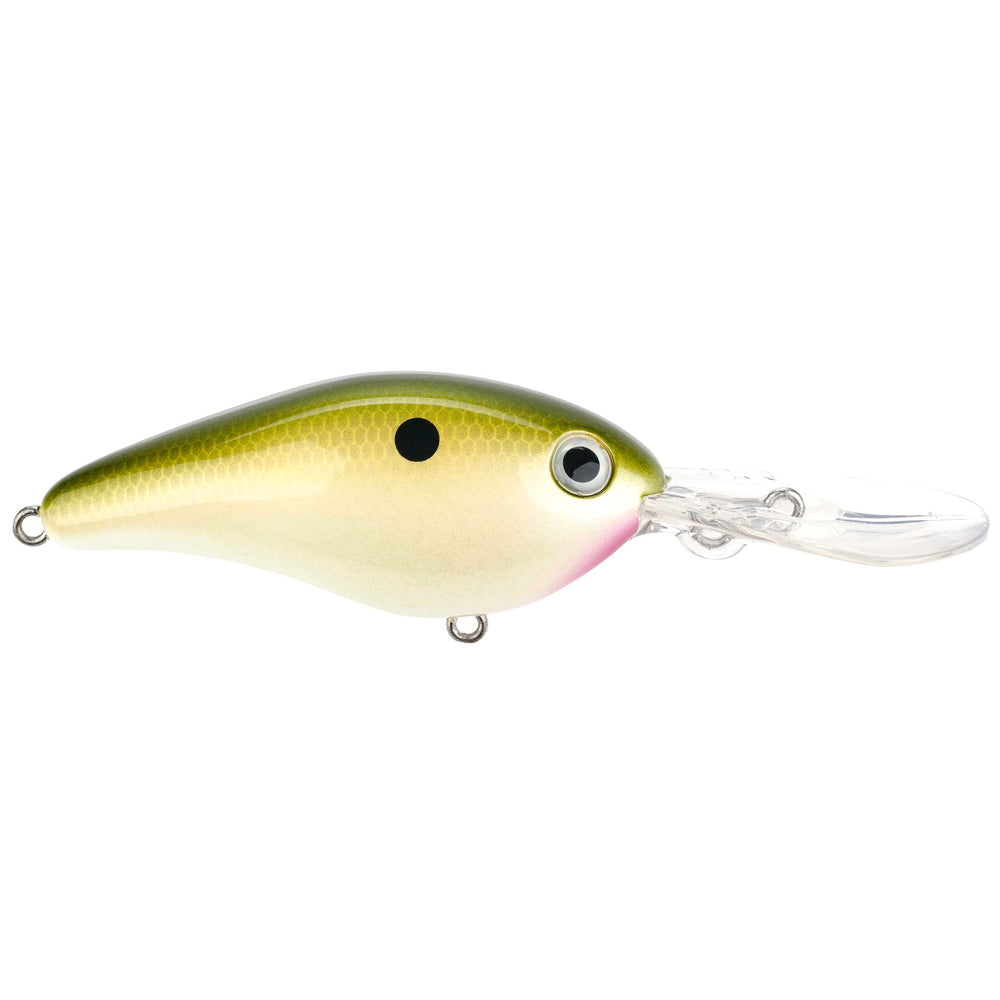 Lew's Promodel 6XD crankbait premium finish close-up in Tennessee Shad color