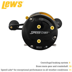 Close-up of brass main gear on Lew's Speed Cast reel