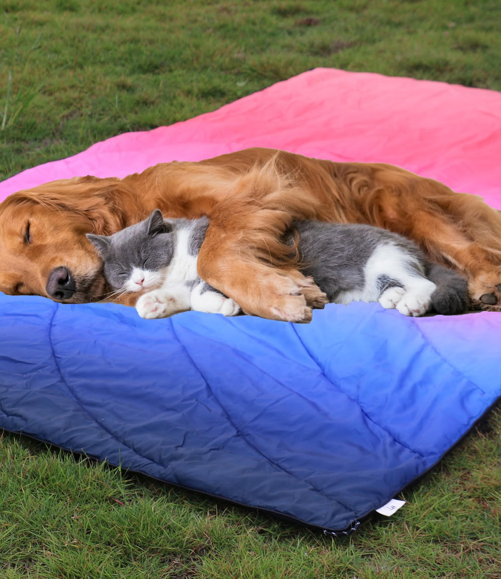 LH Outdoor Puffy Camping Blanket in indoor/outdoor family setting for versatile use.