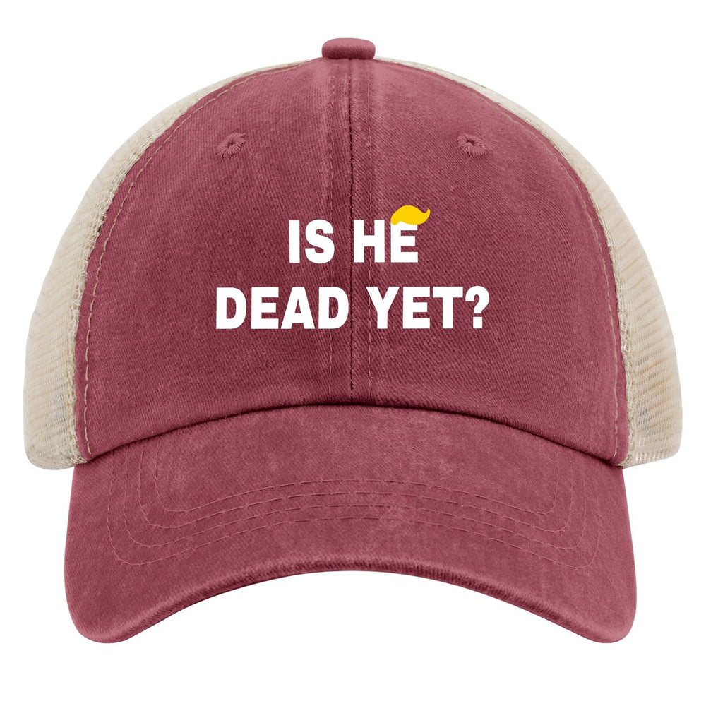 Liabiliies Is He Dead Yet hat back view with adjustable strap for a secure fit