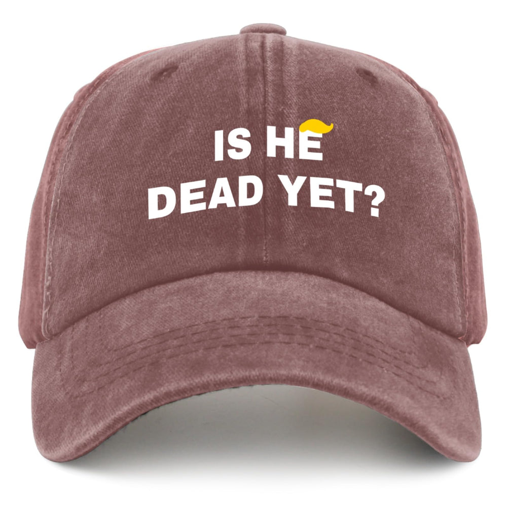 liabiliies Is He Dead Yet Hat front view in wine red for casual outdoor wear.