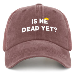 liabiliies Is He Dead Yet Hat front view in wine red for casual outdoor wear.