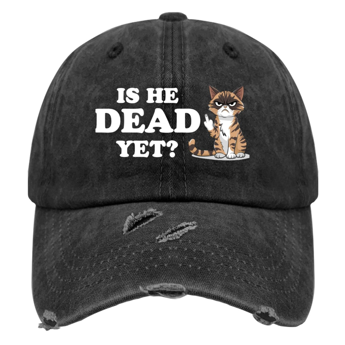 Liabiliies Is He Dead Yet hat front view, retro denim design for casual daily wear.