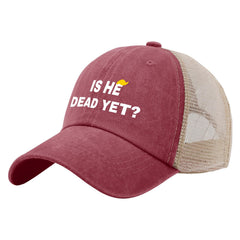 Liabiliies Is He Dead Yet hat front view showing breathable mesh for everyday wear