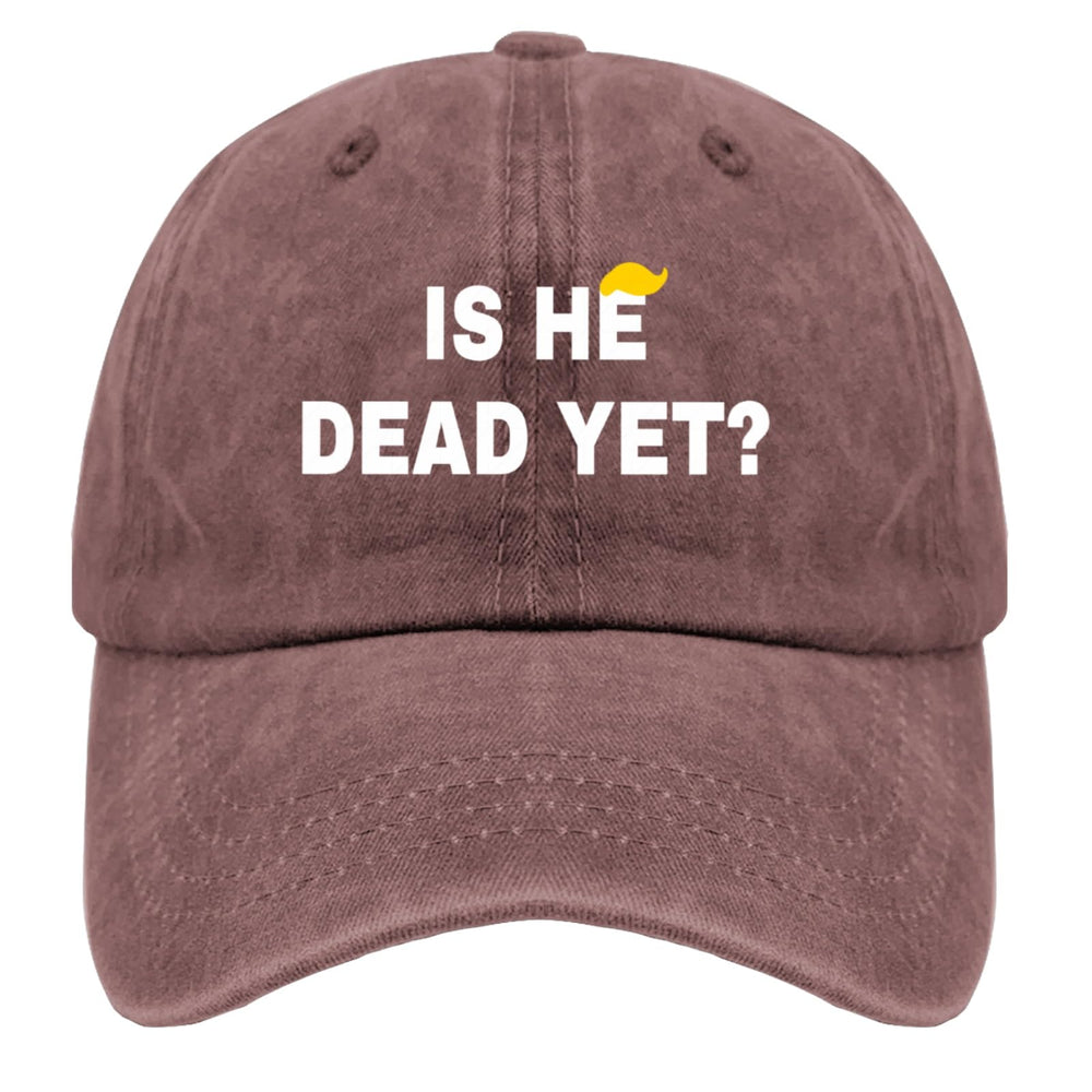 liabiliies Is He Dead Yet Hat side view, showcasing breathable mesh panel for summer comfort.