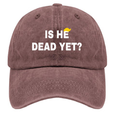 liabiliies Is He Dead Yet Hat side view, showcasing breathable mesh panel for summer comfort.