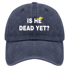 liabiliies Is He Dead Yet hat side view highlights breathable mesh for summer