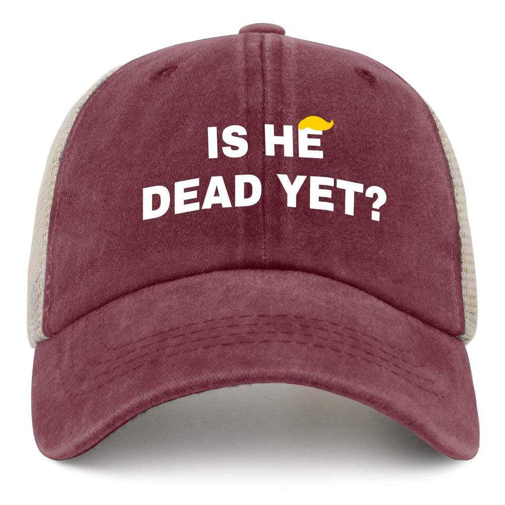 Liabiliies Is He Dead Yet hat side view ideal for casual outdoor activities