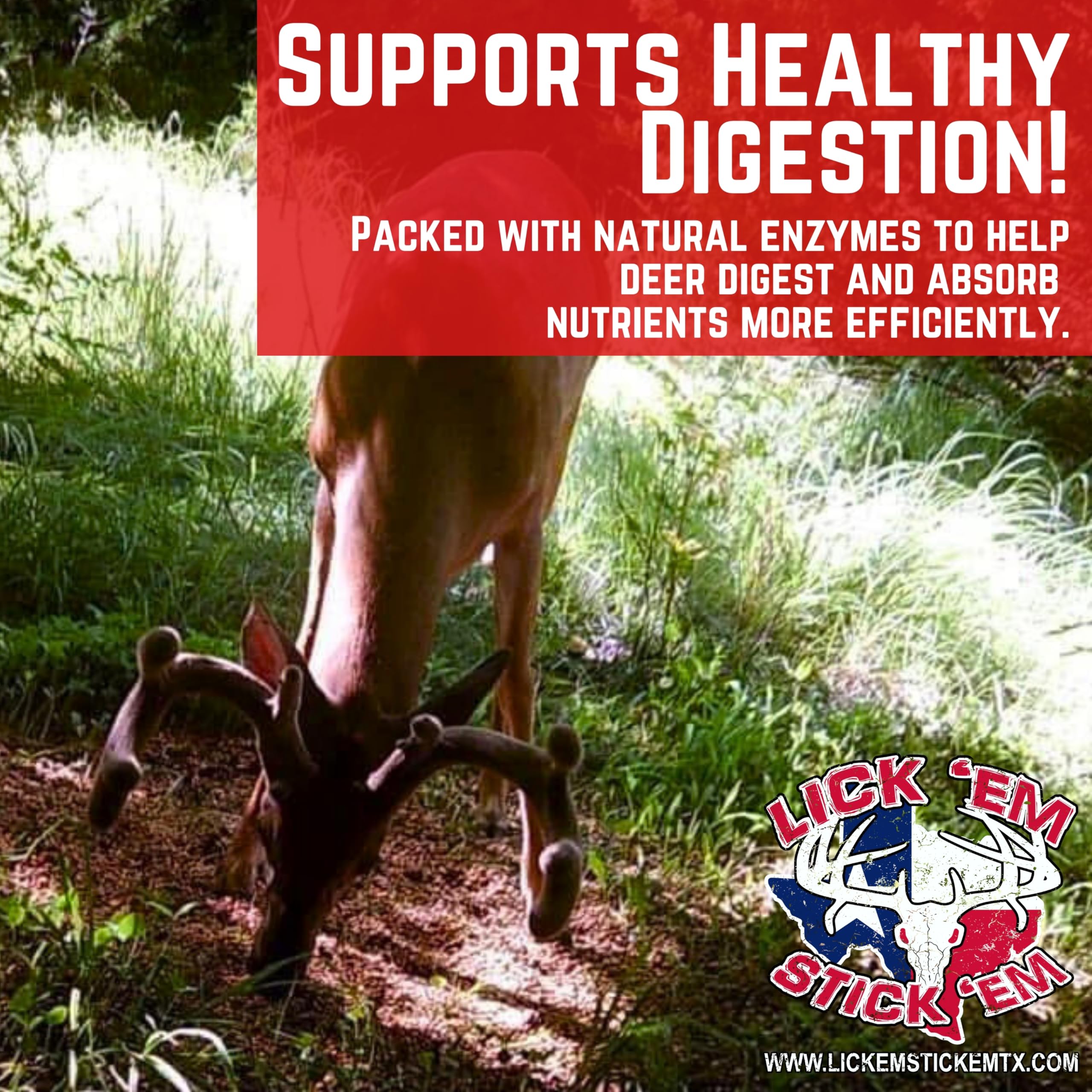 Lick Em Stick Em deer attractant near salt lick and feed use.
