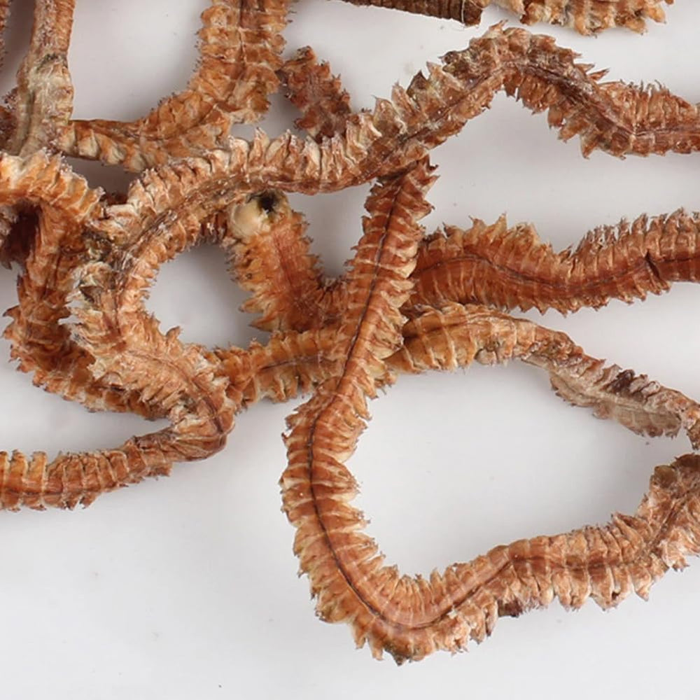 Lifelike Dry Sandworm Lure natural-scent-effect highlights enticing aroma.