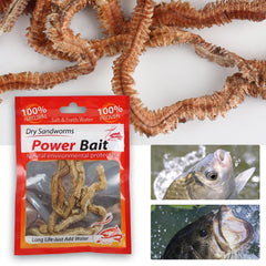 Lifelike Dry Sandworm Lure saltwater-application displays sea fishing suitability.