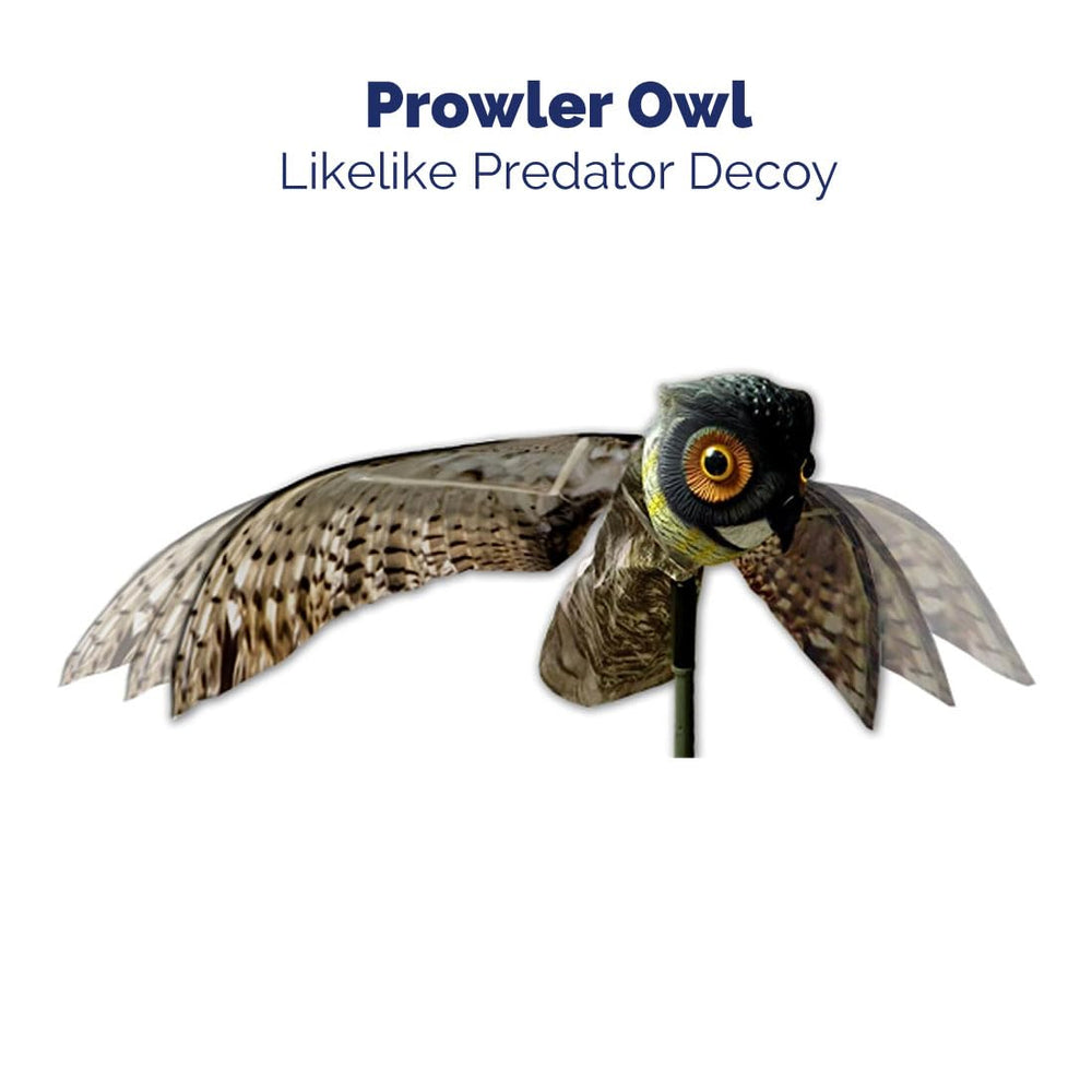Glassy eyes on lifelike owl follow pests