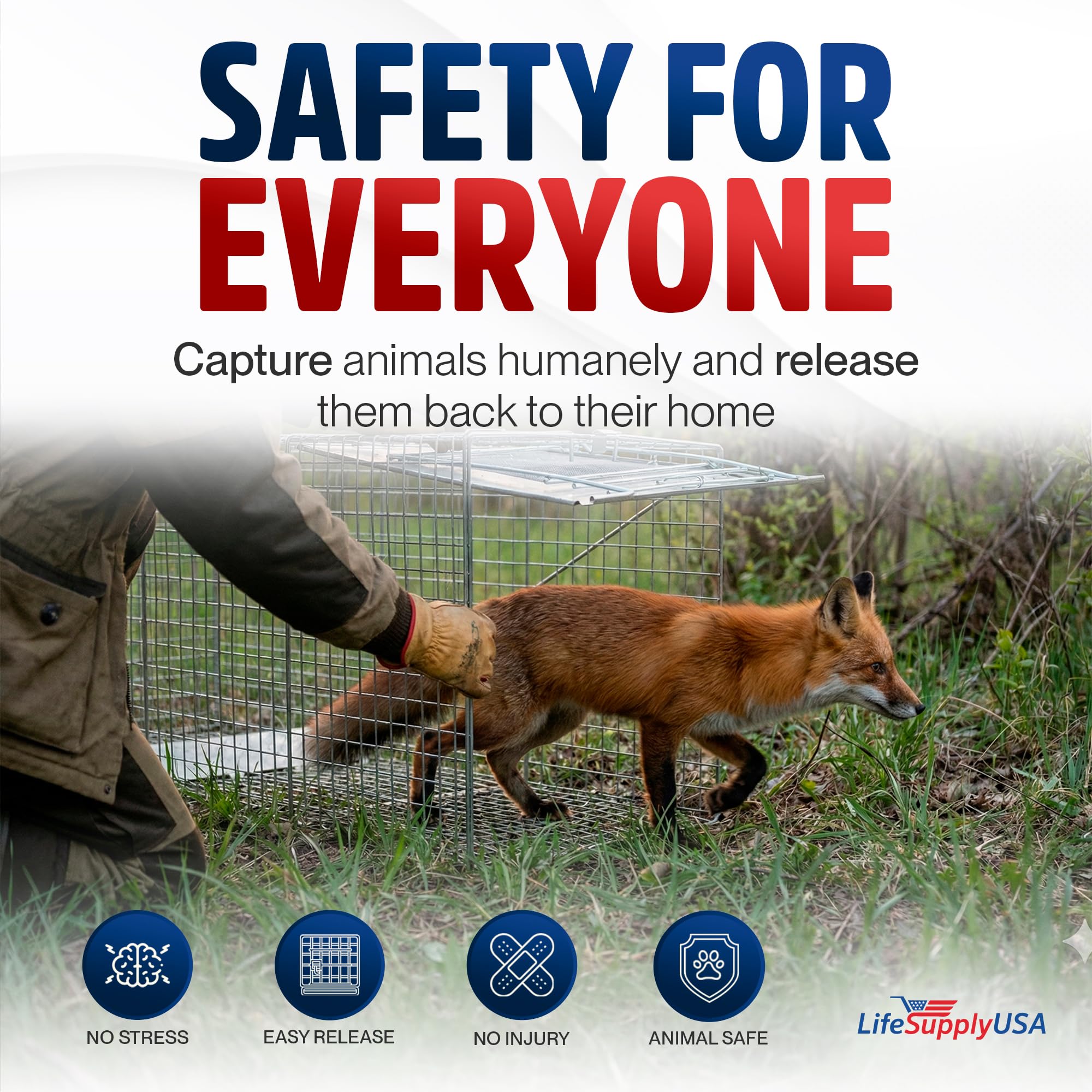 LifeSupplyUSA humane-catch-release-trap delivers safe relocation in real-world scenarios.