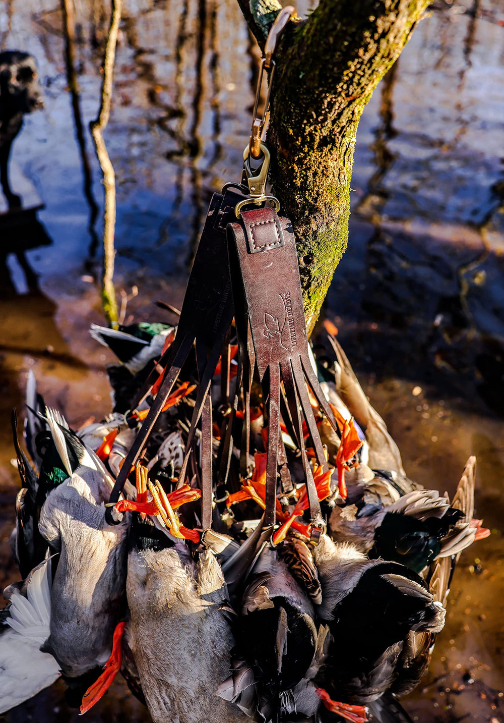 Lifetime Decoys Heyday carrier dimensions and noose design keep gear organized