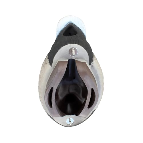 Heyday Redhead smoothmove dual-keel decoy glides naturally on water.