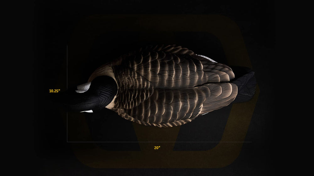 Lifetime Decoys Canada Goose 4-pack in water showing stable swimming