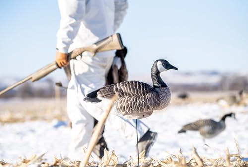 Lifetime Decoys dual keel design side view demonstrating flat stability on water