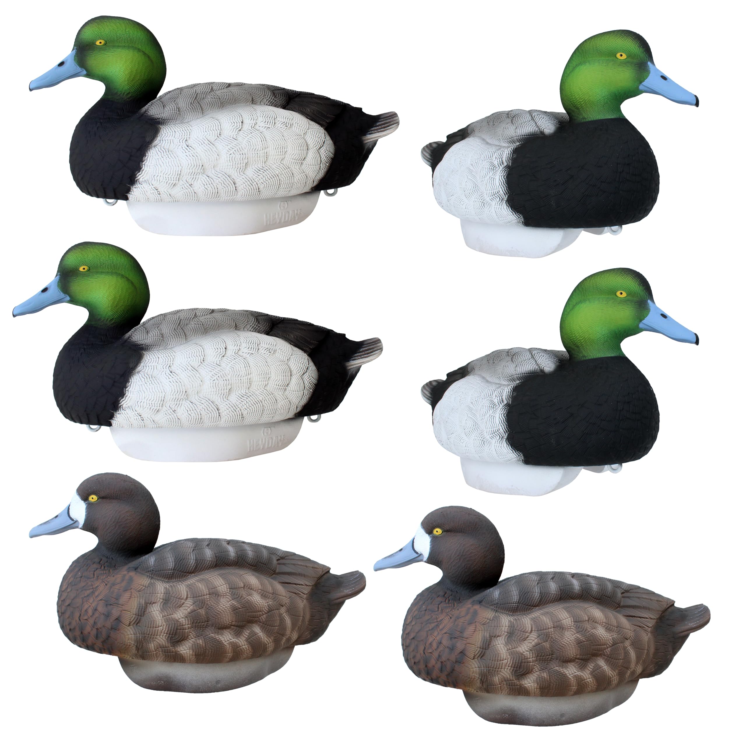 Heyday Bluebill HydroFoam decoy close-up showcases lightweight construction for field transport.
