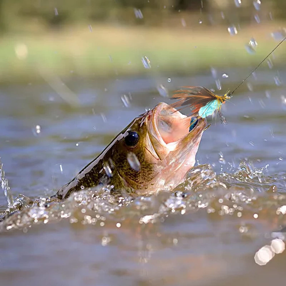 Display of 12 floating dry flies on a card