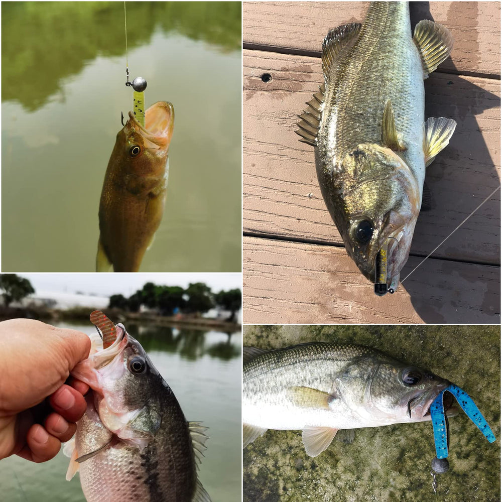 Ned Rig setup using Lilureena worms and jig heads