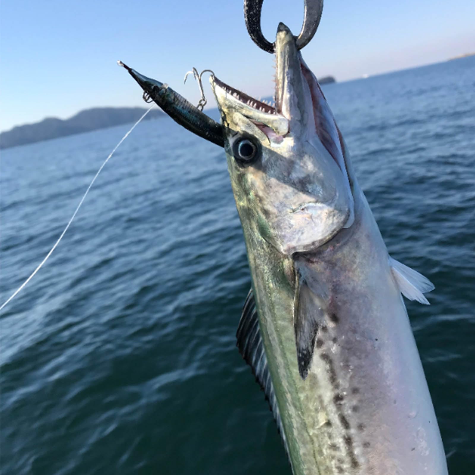 Little Jack Sayoris 135mm lure with BKK treble hooks for penetration