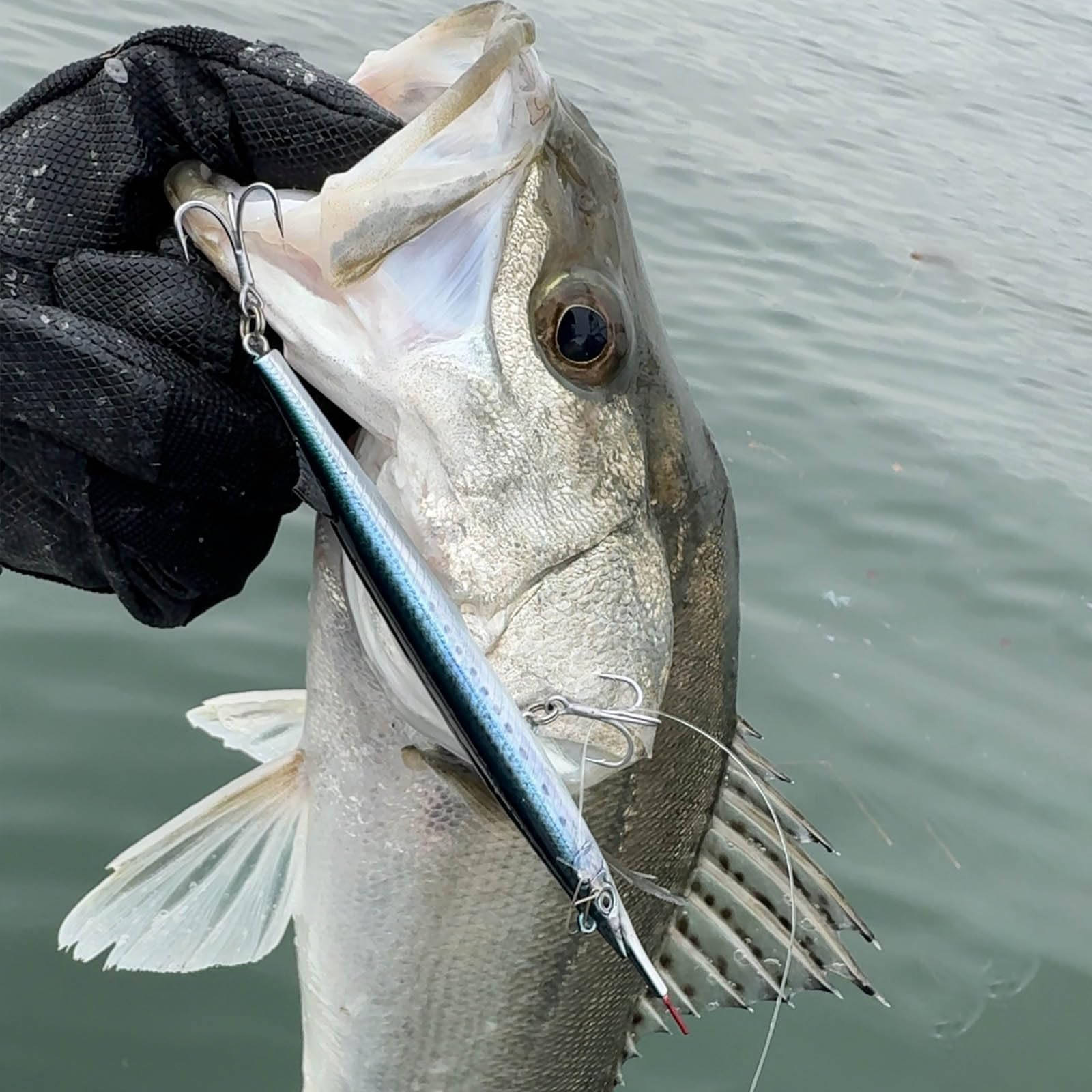 Sayoris with BKK treble hook for strong penetration and reliability