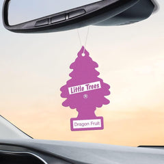 Dragon Fruit fragrance profile from Little Trees with exotic citrus and berry notes.