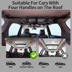 LITTLEMOLE Vehicle Rod Rack with four rods keeps tackle organized during road trips.