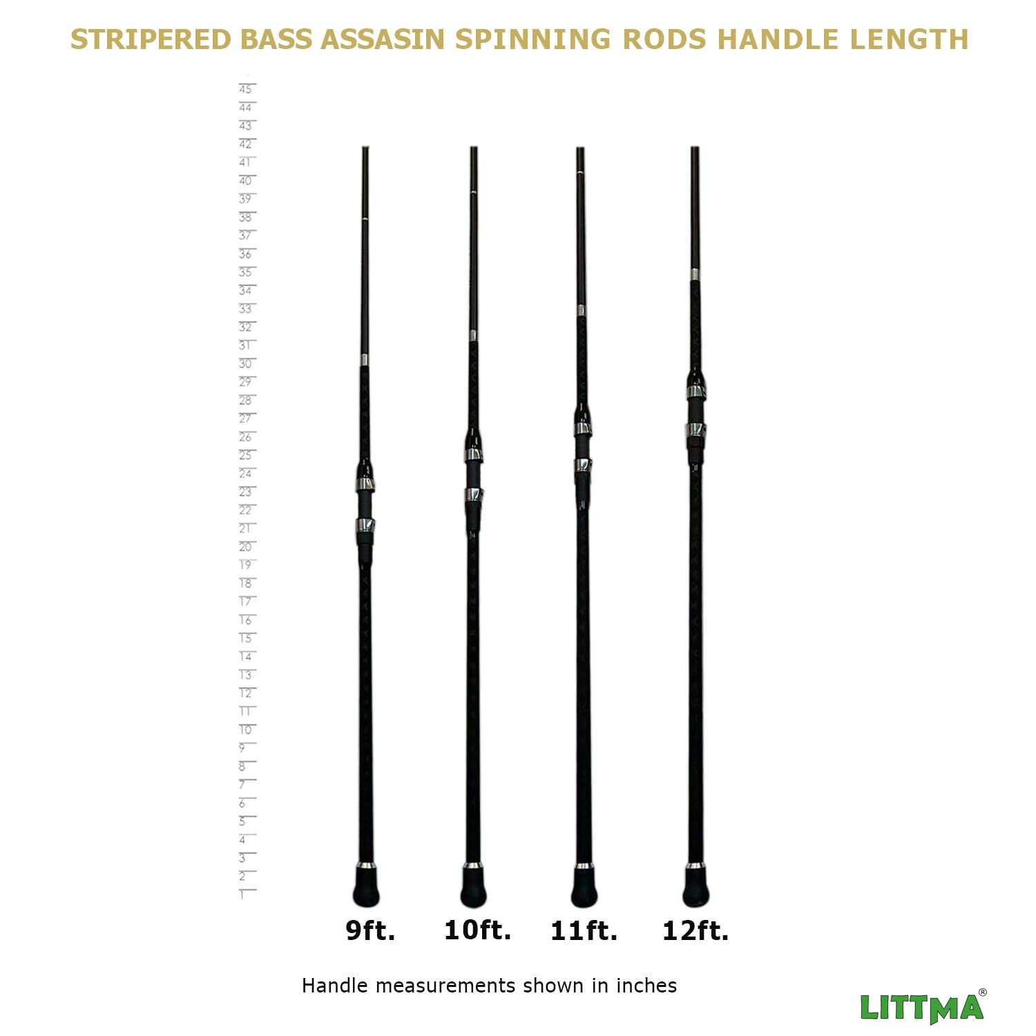 LITTMA two-piece 50/50 design enables portable storage without sacrificing balance.