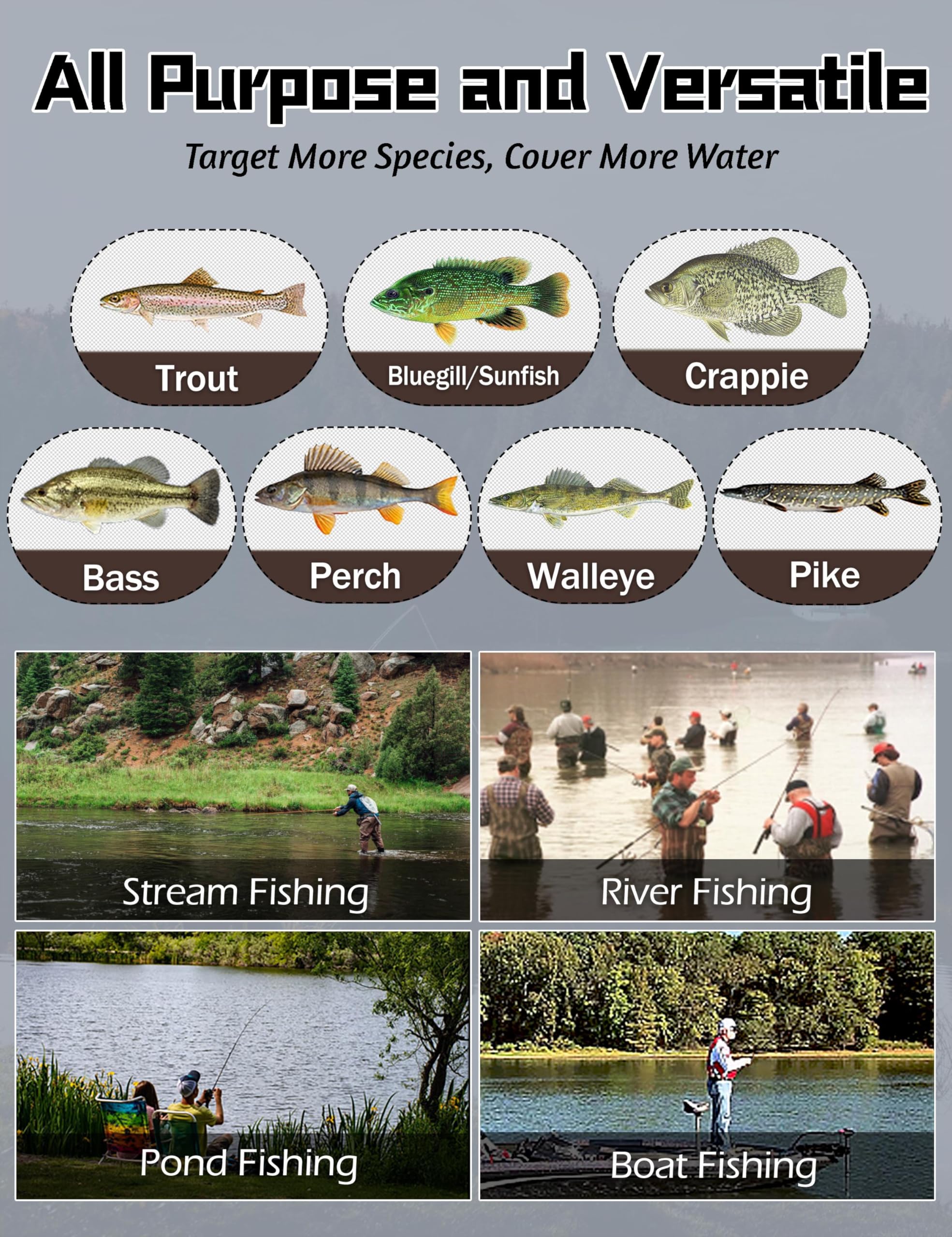 LITTMA Trout&PANFISH rod packaging and 12-month guarantee information
