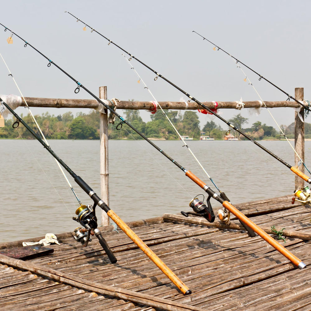 Fishing gear setup showing bells on rods for various waters
