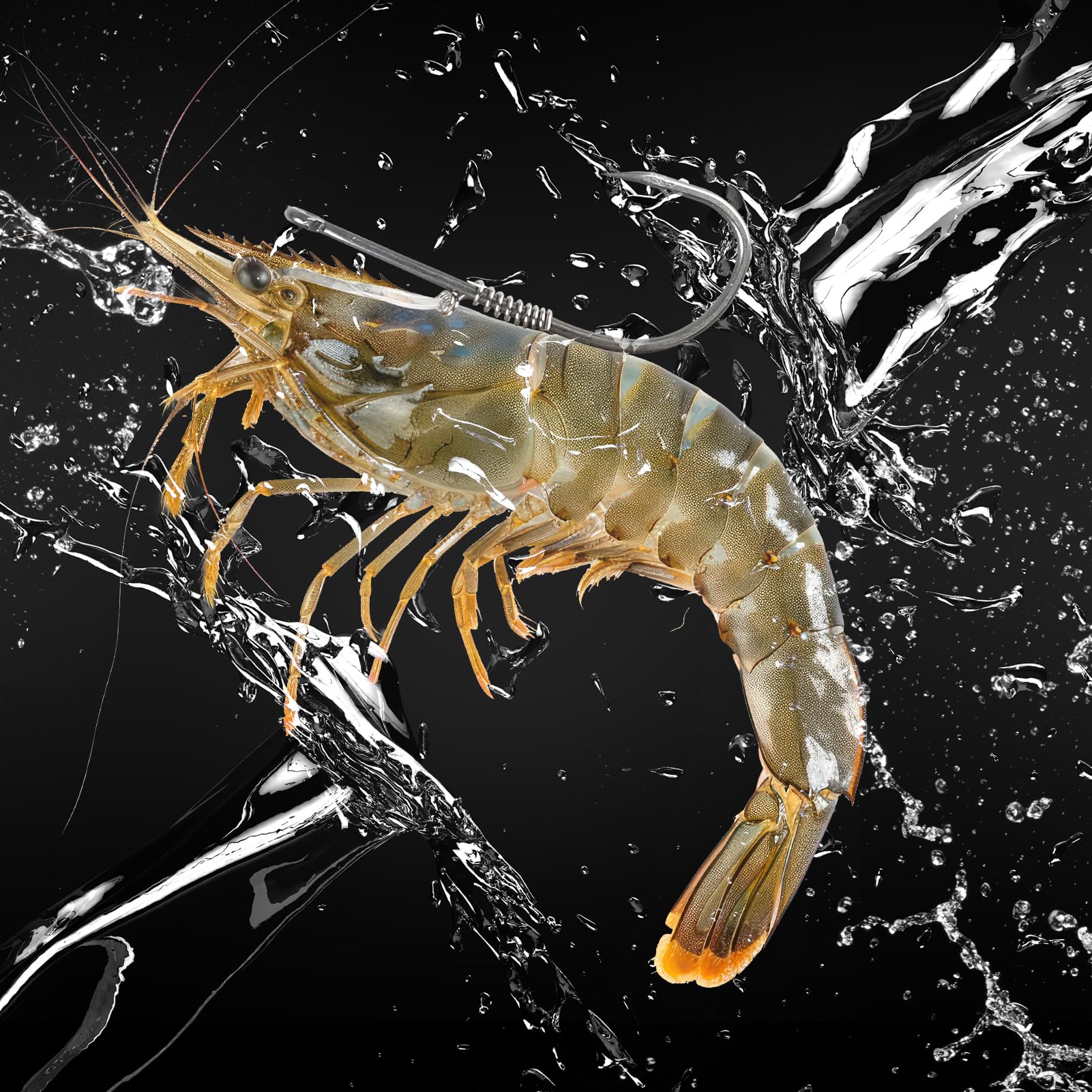 Live shrimp holder design showing easy operation