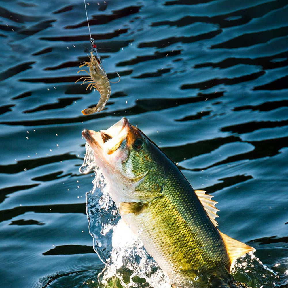 Ideal gift for fishing enthusiasts