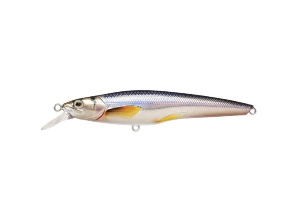 LIVE TARGET Rainbow Smelt Jerkbait, shallow lure with rainbow finish for multi-species casting and trolling.
