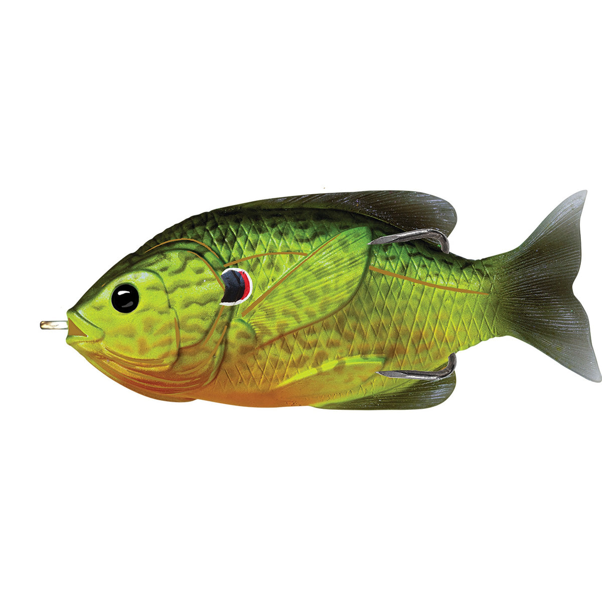 LIVE TARGET Sunfish hollow-body lure, ideal topwater bait for bass and pike with pumpkinseed color.
