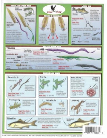 Illustrations of live bait rigs diagrams