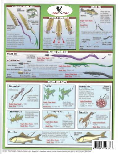 Illustrations of live bait rigs diagrams