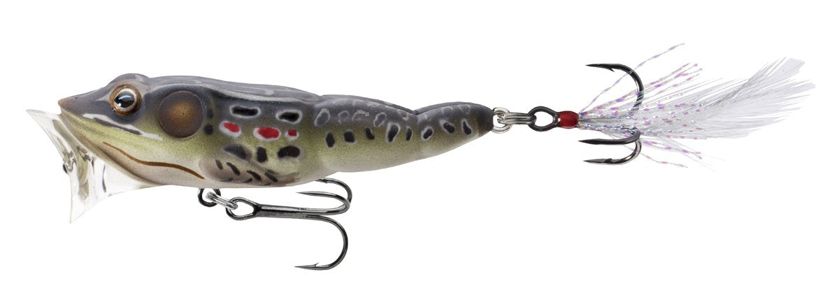 LIVE TARGET Livetarget Frog Popper surface action for bass fishing in open water.
