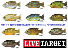 LIVE TARGET walking action sunfish hollow body demonstrates easy walking cadence for swift retrieves