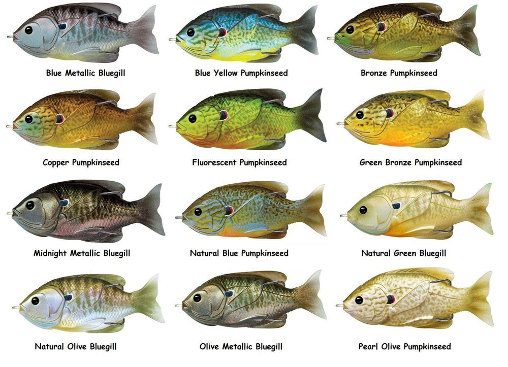 LIVE TARGET weedless sunfish pumpkinseed shows solid cover performance in thick vegetation