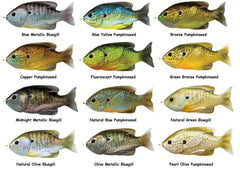 LIVE TARGET weedless sunfish pumpkinseed shows solid cover performance in thick vegetation