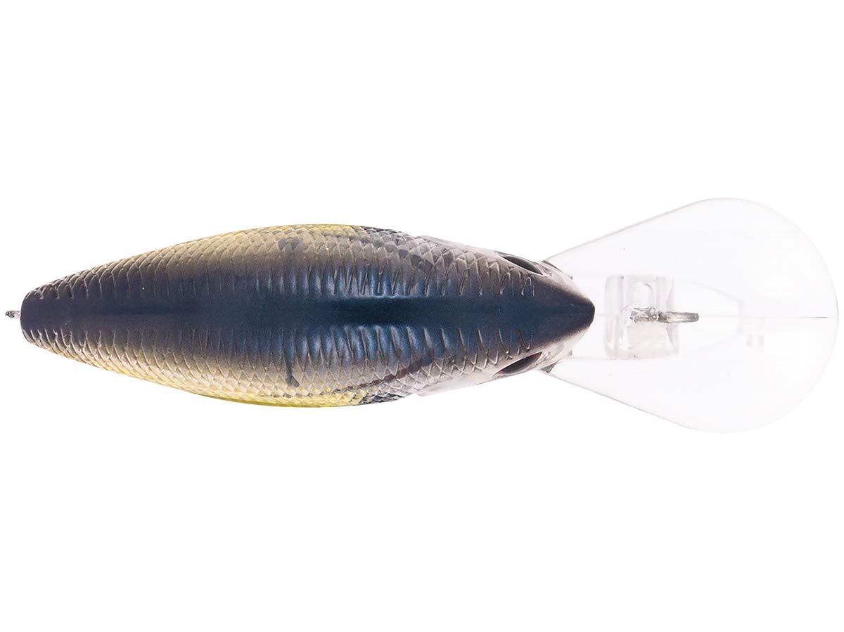 Livingston Lures Howeller Dream Master Classic Plus Clearwater Shad water action demonstrates responsive rattles and sound