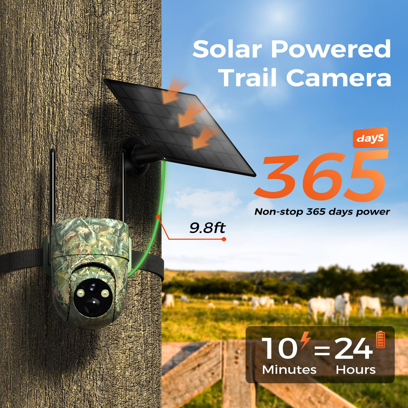 Liwan Cellular Trail Camera night vision in color for wildlife at night.