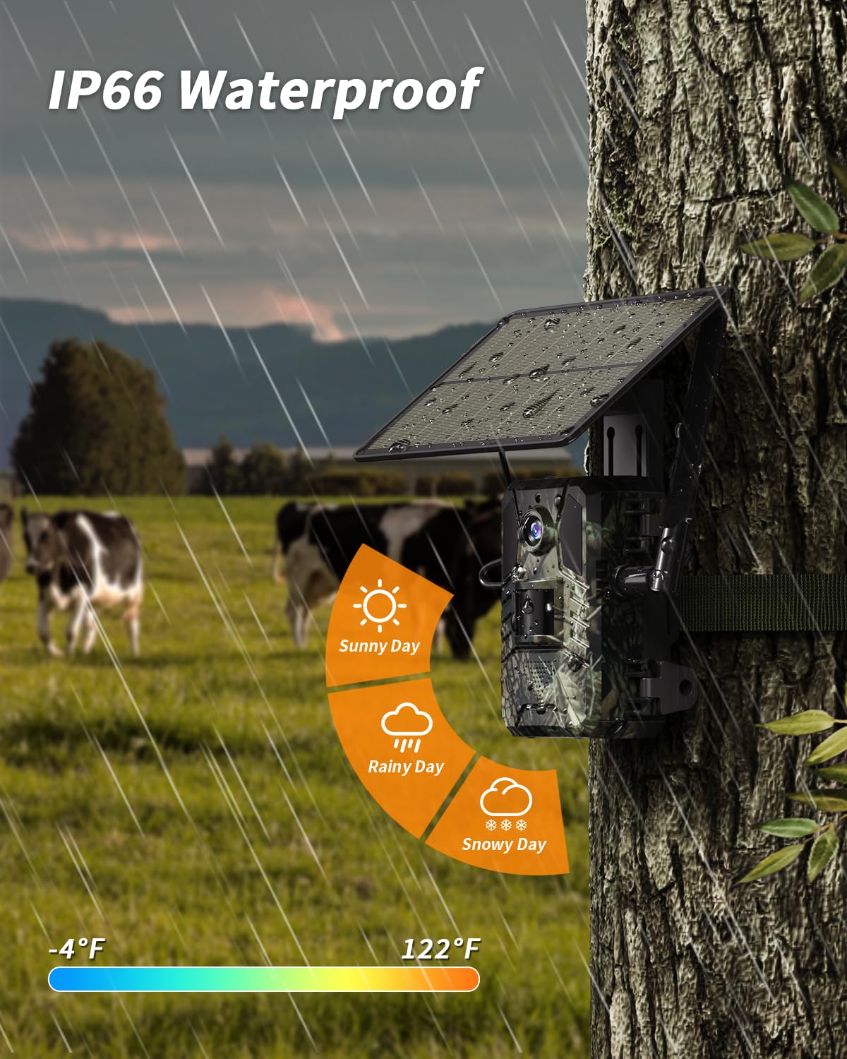 Loatos intelligent app view emphasizes real-time alerts and remote viewing benefits